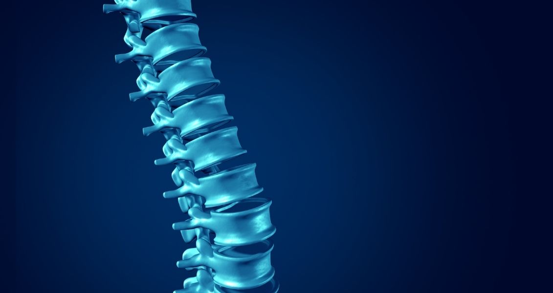 World Spine Day