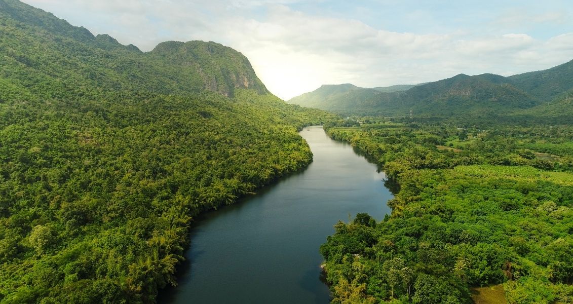 World Wetlands Day