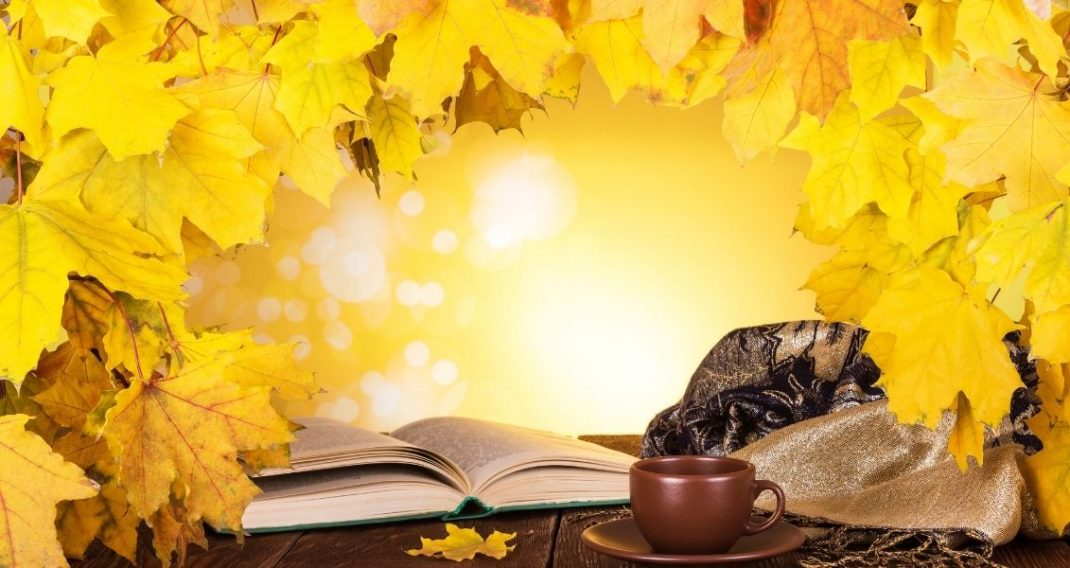 a selection of books with an autumn mood