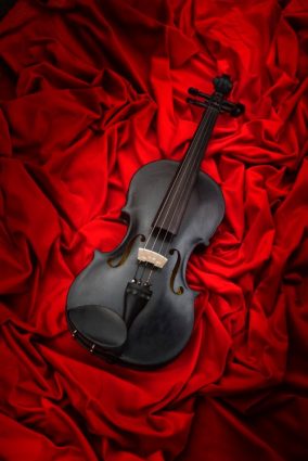 violin black dresd
