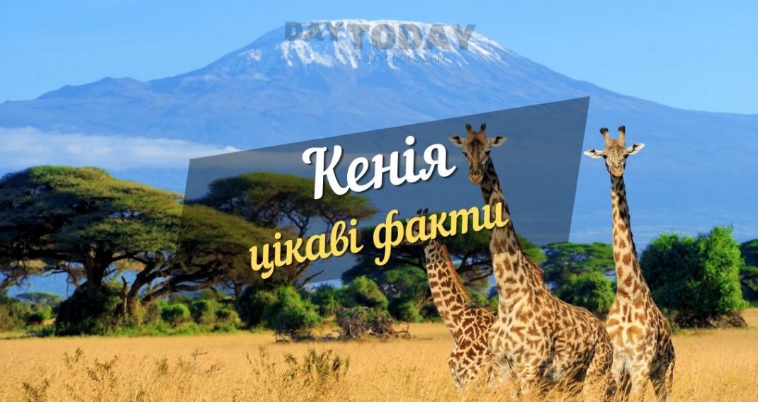 interesting facts about kenya