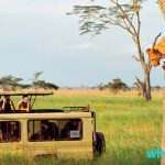 safari-2